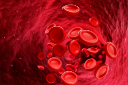 Blutkreislauf verstehen: Aufbau, Funktionen, Tipps