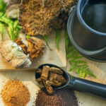 Vitalpilze: Diese sollte man kennen