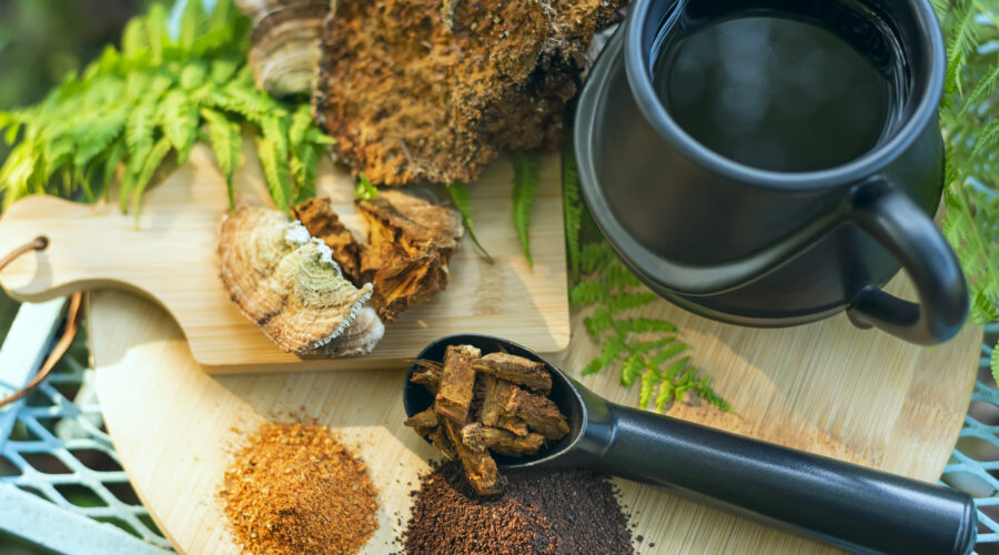 Vitalpilze: Diese sollte man kennen