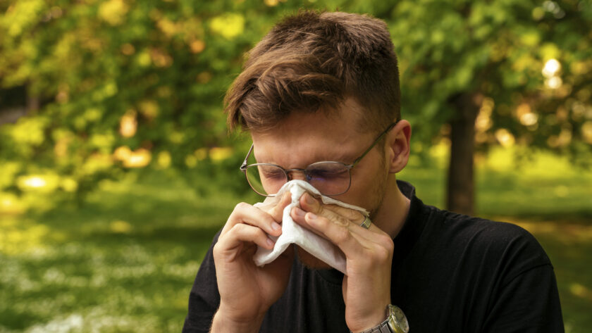 Welche Pollen sind im Mai besonders aktiv?