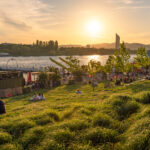 Das Donauinselfest startet – Musik, Kulinarik und Flair treffen auf Pollen & Sporen. So schützt du dich vor der Allergiebelastung.