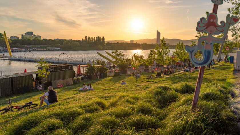 Das Donauinselfest startet – Musik, Kulinarik und Flair treffen auf Pollen & Sporen. So schützt du dich vor der Allergiebelastung.