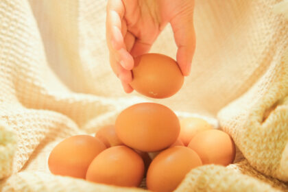 Die Eierschalenmembran ist eine natürliche, vegetarische Kollagenquelle für straffe Haut, gesunde Gelenke, Haare und Nägel.