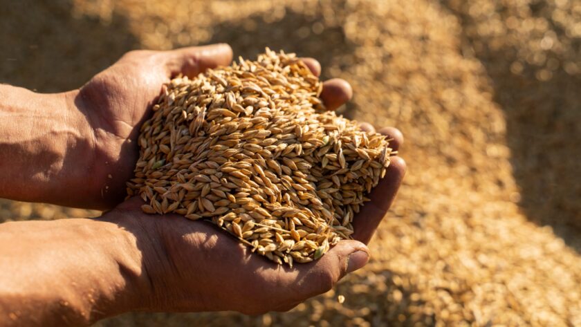 Magnesium: Diese Lebensmittel enthalten besonders viel