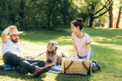 winzige Eier vom Fuchsbandwurm können ernsthaft krank machen
