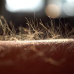 Hauttemperatur als Frühwarnsystem: Was deine Haut über deine Gesundheit aussagt