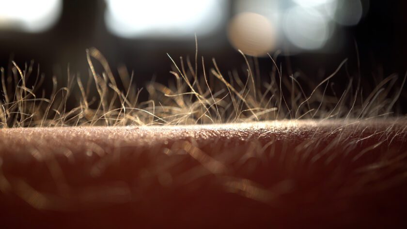 Hauttemperatur als Frühwarnsystem: Was deine Haut über deine Gesundheit aussagt