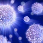 Alles was du über weiße Blutkörperchen wissen musst