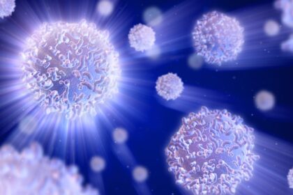 Alles was du über weiße Blutkörperchen wissen musst