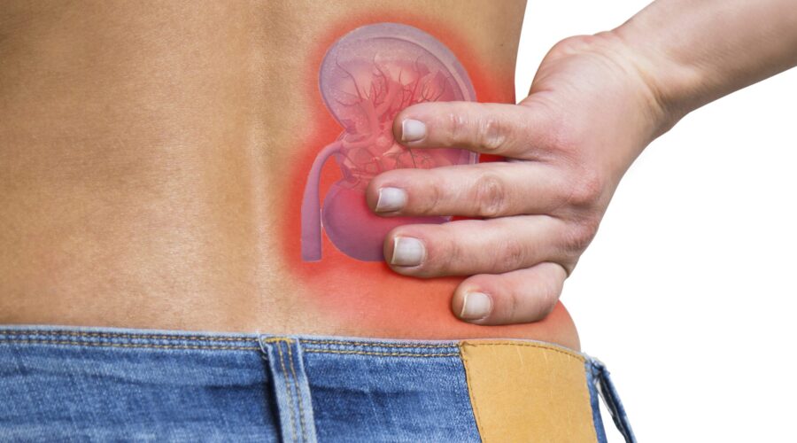 Was der Kreatininwert über deine Gesundheit sagt