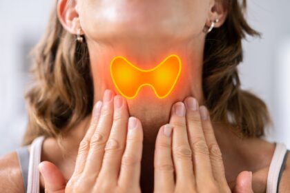 Schilddrüsentests beim Hausarzt: Der ultimative Guide