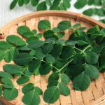 Moringa