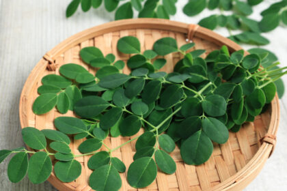Moringa