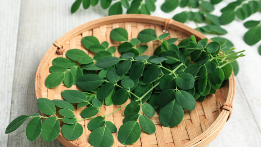 Moringa