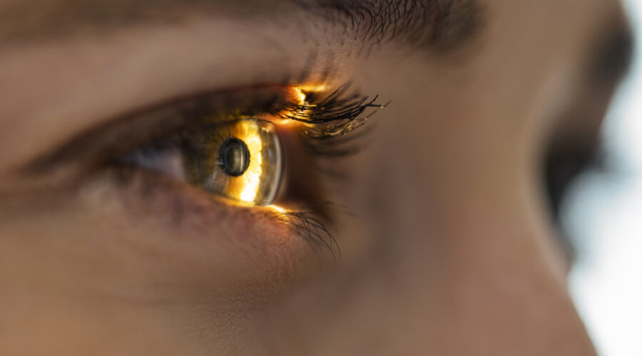 Augen