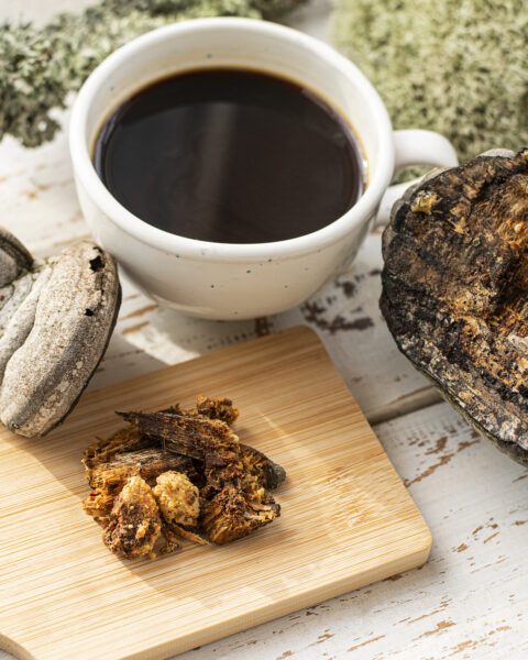 Vitalkaffee & Vitalpilze