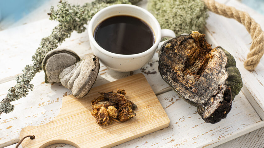 Vitalkaffee & Vitalpilze