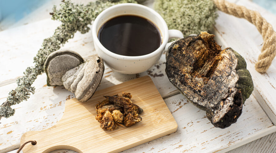 Vitalkaffee & Vitalpilze