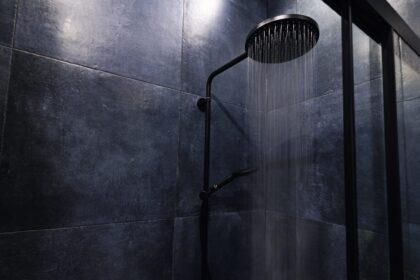 Dark Showering